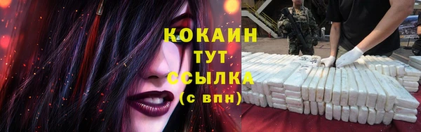 ГАЛЛЮЦИНОГЕННЫЕ ГРИБЫ Баксан