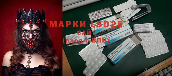 ГАЛЛЮЦИНОГЕННЫЕ ГРИБЫ Баксан