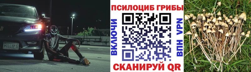 магазин продажи наркотиков  мега ССЫЛКА  мориарти официальный сайт  Унеча  Псилоцибиновые грибы ЛСД 